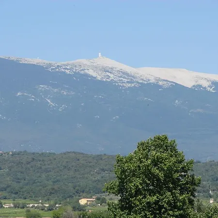 Le Siècle Mazan